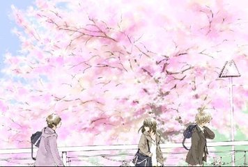 深入了解 精品稀缺资源